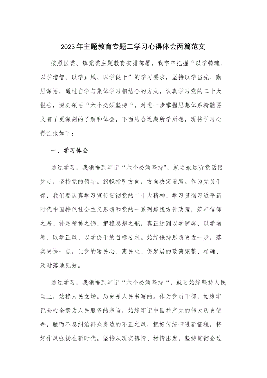 2023年主题教育专题二学习心得体会两篇范文.docx_第1页