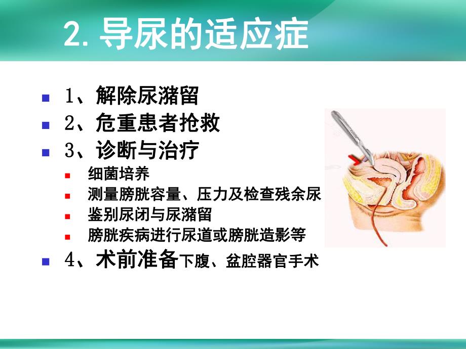 女性导尿术解析.ppt_第3页