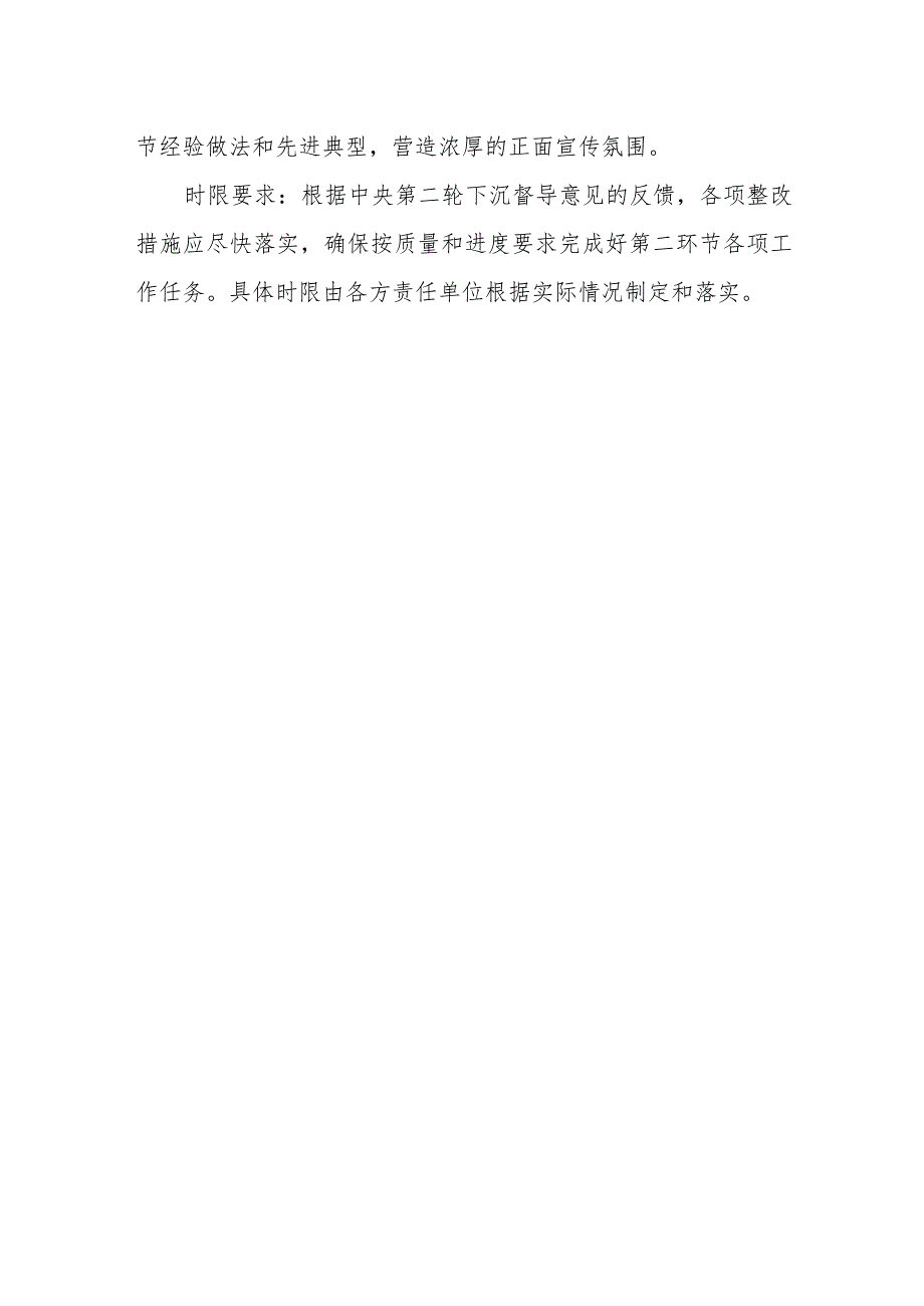 中央督导组下沉督导政法队伍教育整顿反馈问题整改方案.docx_第3页