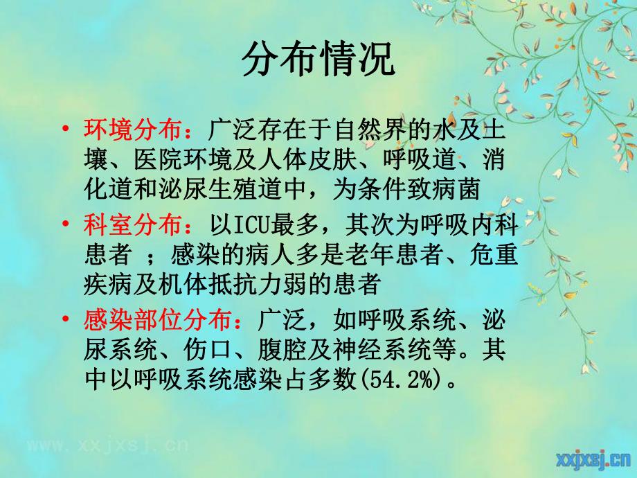 鲍曼不动杆菌.ppt.ppt_第3页