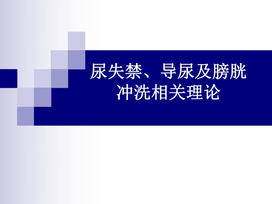 尿失禁、导尿及膀胱冲洗相关理论.ppt_第1页