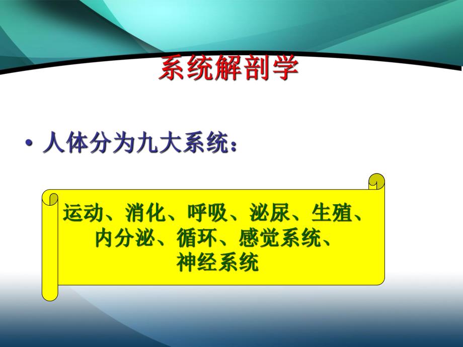 最形象的医学基础知识1.ppt_第2页