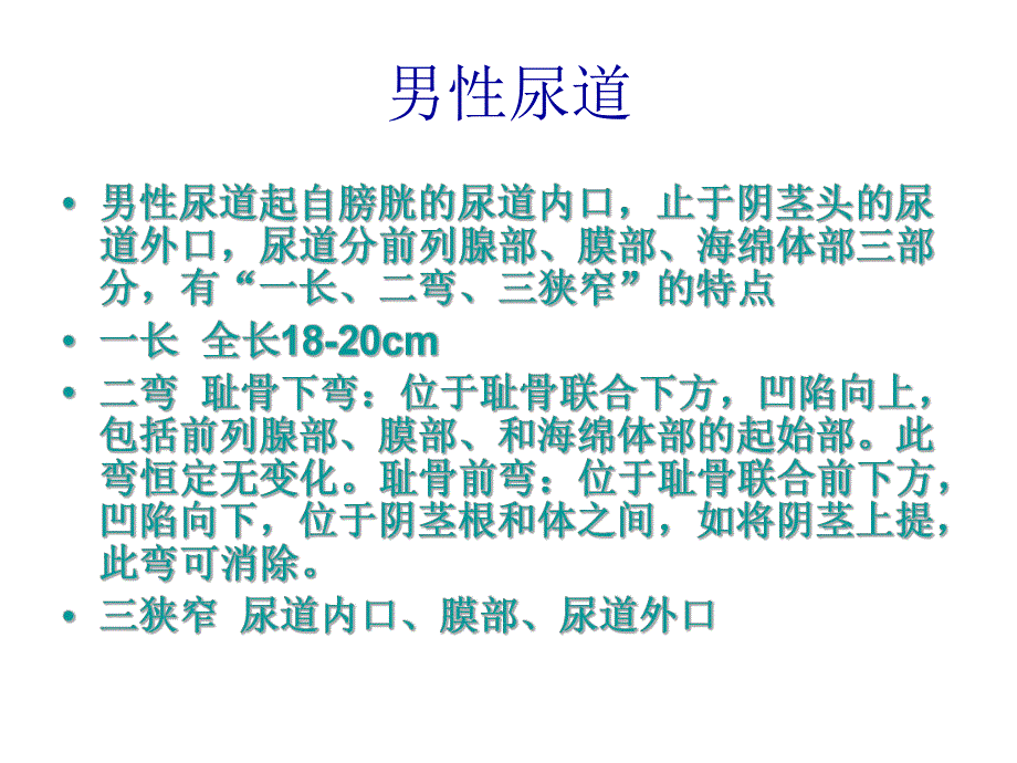 男性导尿术资料祥解.ppt_第3页