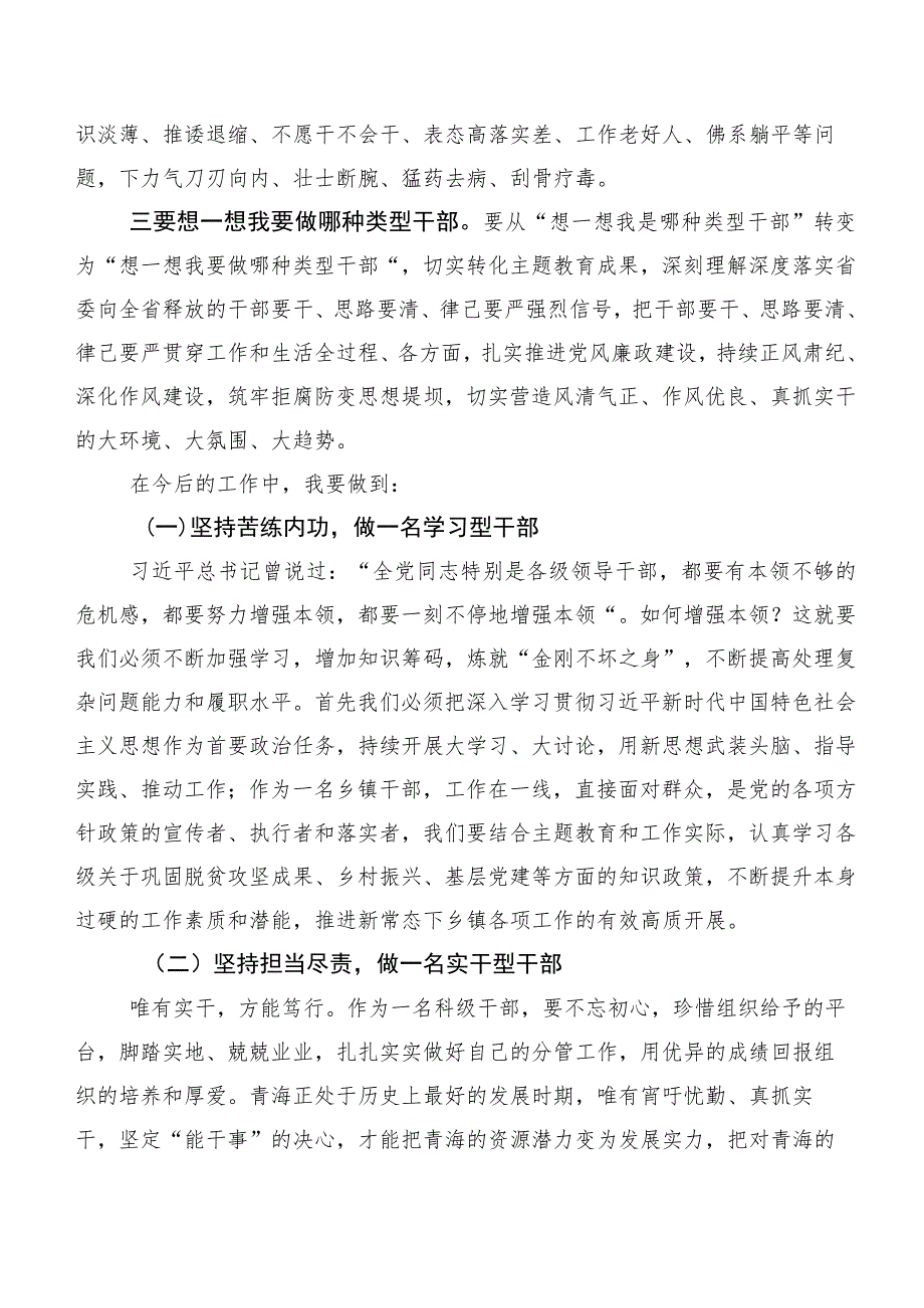 2023年“我是哪种类型干部”交流发言稿、心得体会.docx_第3页