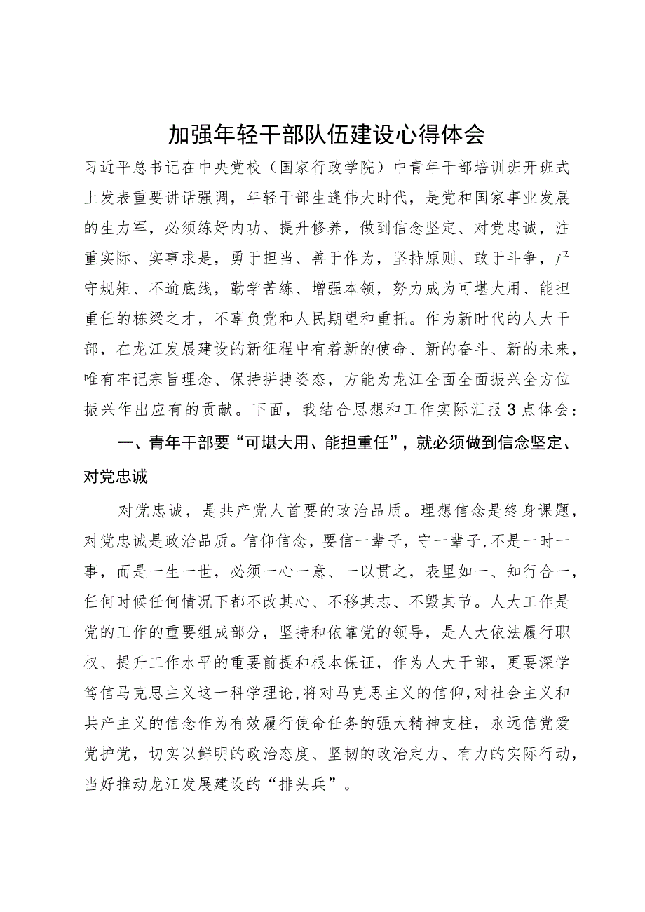 加强年轻干部队伍建设心得体会.docx_第1页