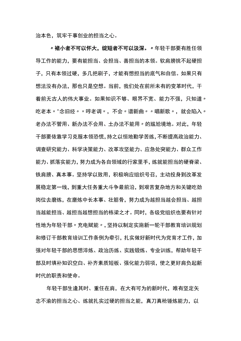 “实干担当”主题研讨发言材料：年轻干部既要有担当之心又要有担当之能.docx_第2页