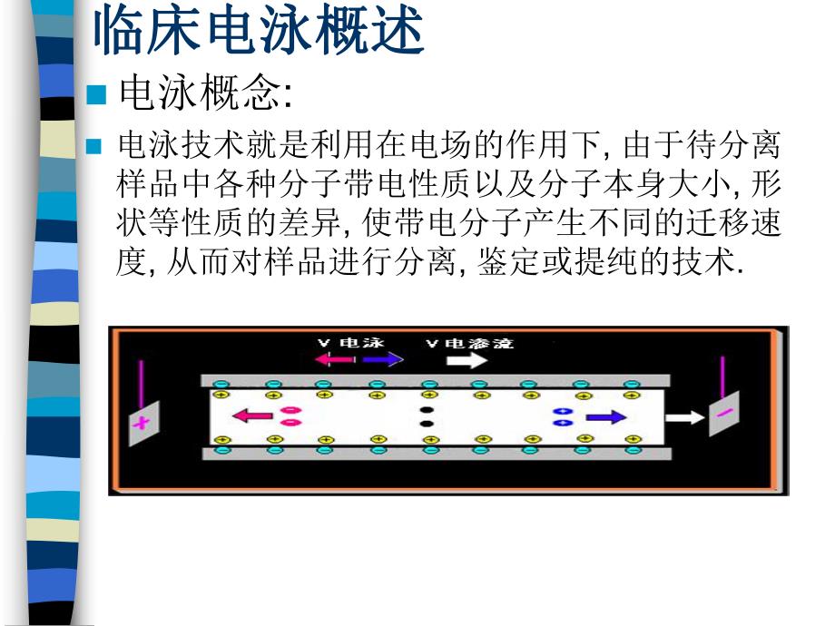 蛋白电泳临床应用.ppt_第2页