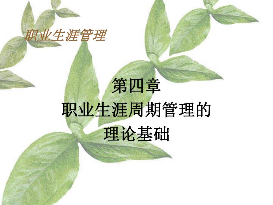 第4章职业生涯周期管理的理论基础.ppt_第1页