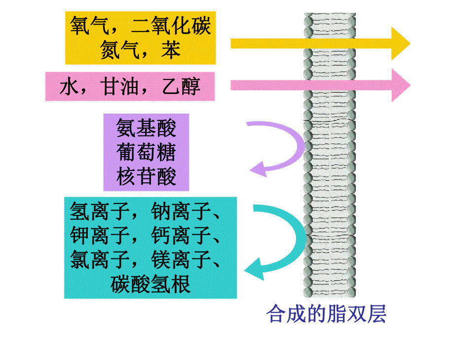 第3节物质跨膜运输的方式名师编辑PPT课件.ppt_第2页