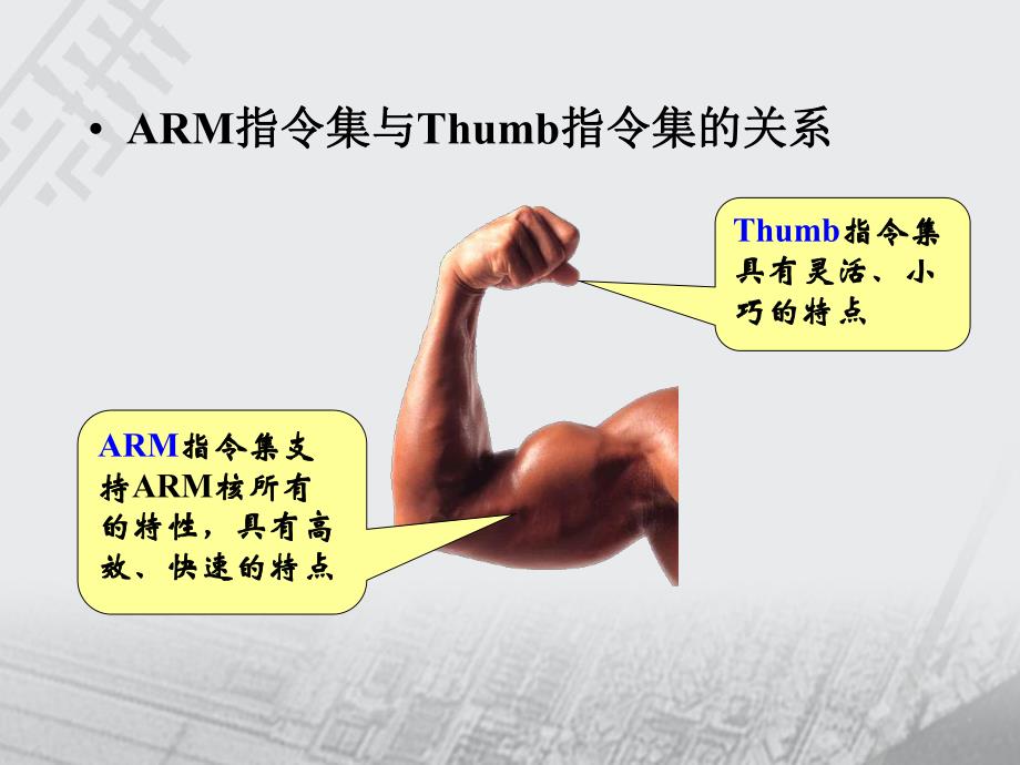 第4章 ARM7TDMI(S)指令系统.ppt_第3页