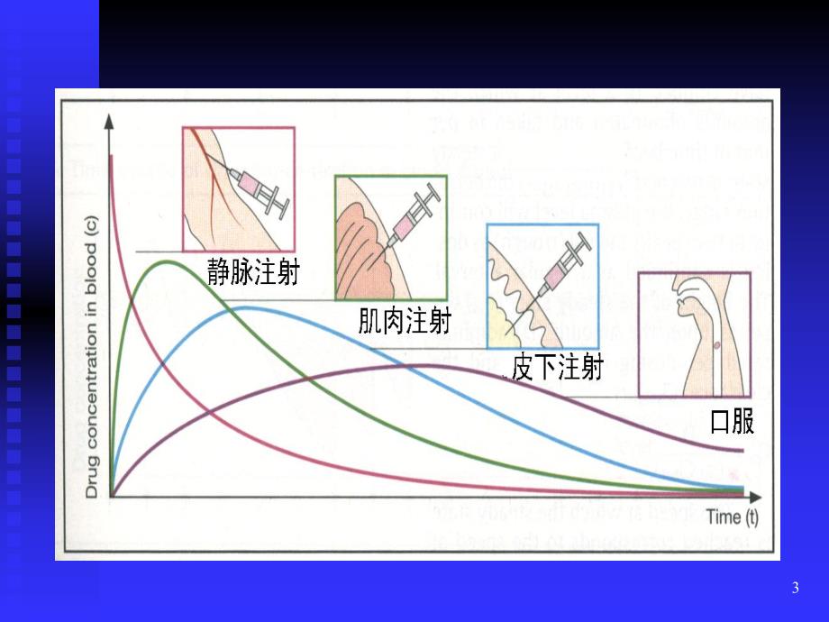 第4章影响药物作用因素.ppt_第3页