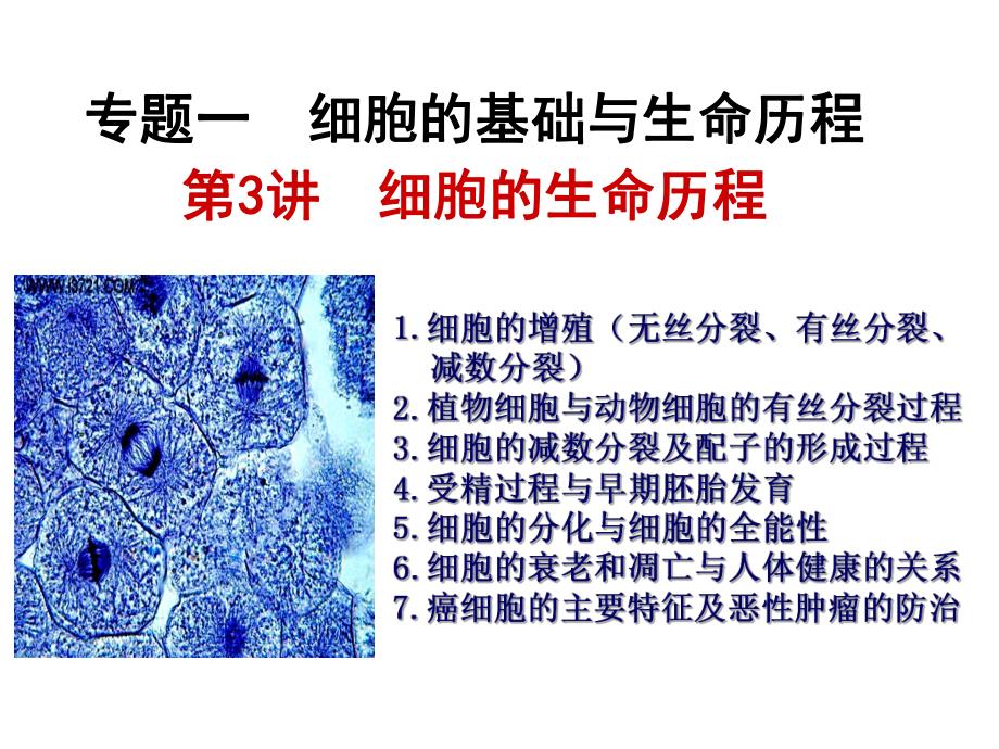 第3讲细胞的生命历程.ppt_第2页