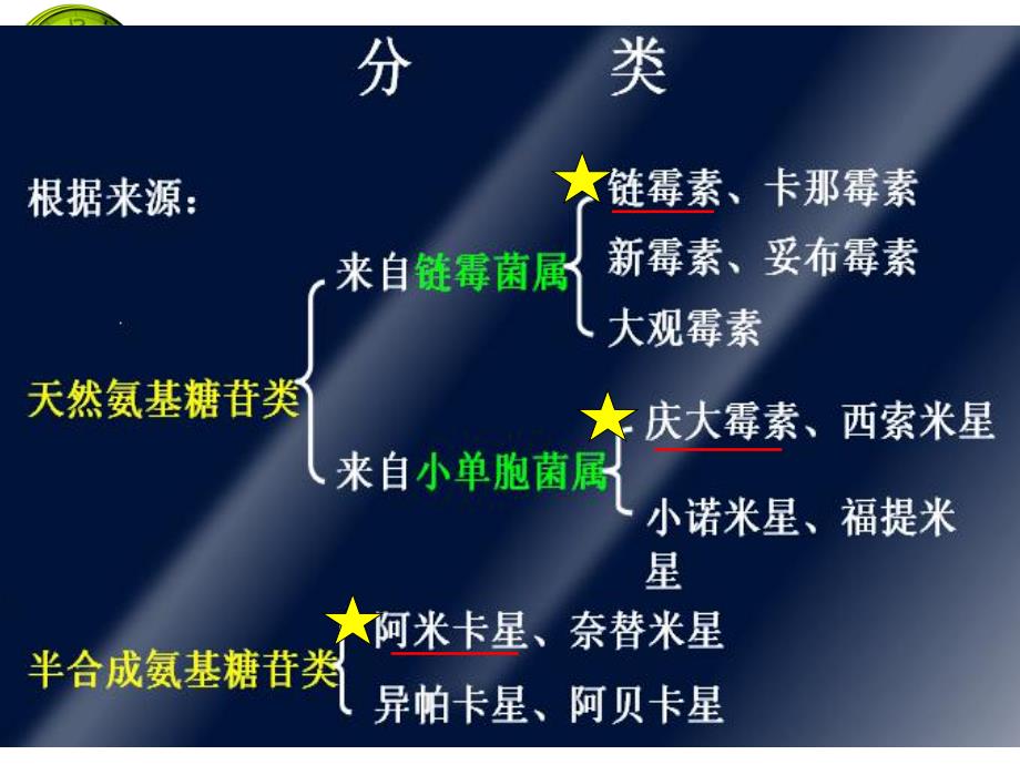 第41章氨基糖苷类抗生素.ppt_第2页