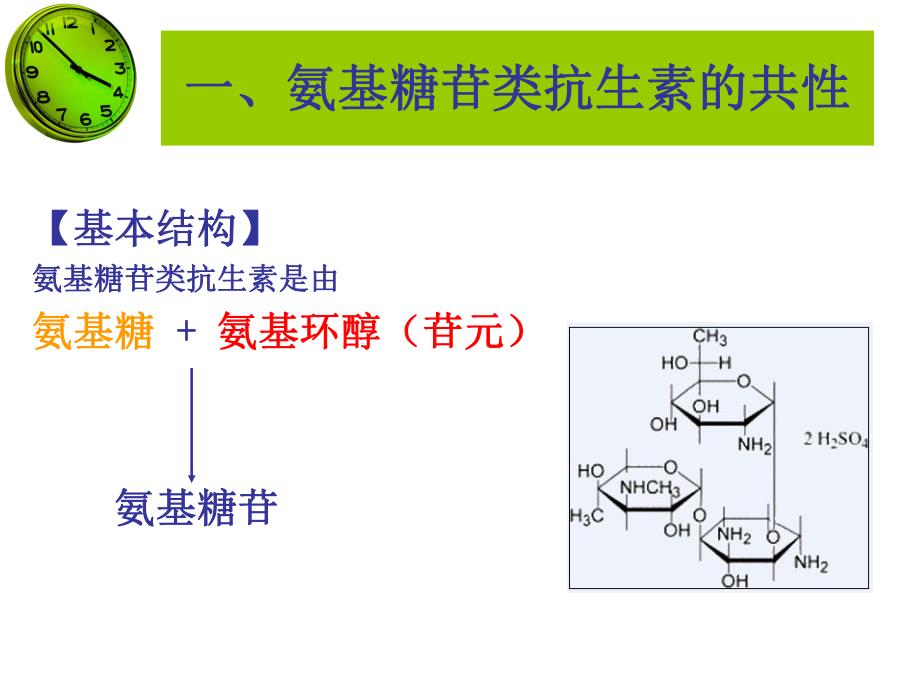 第41章氨基糖苷类抗生素.ppt_第3页