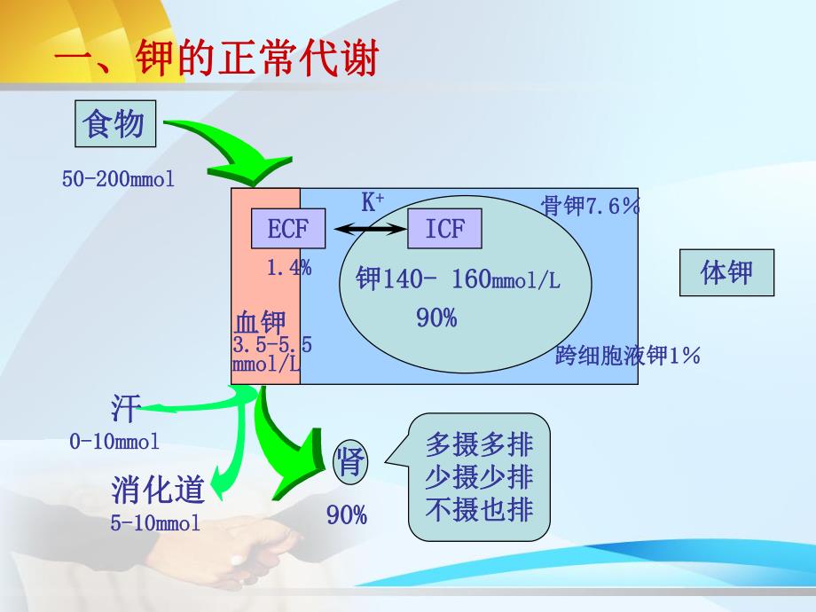 第3章钾代谢紊乱名师编辑PPT课件.ppt_第3页