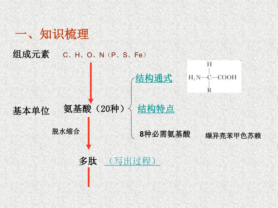 第3讲生命活动的主要承担者蛋白质名师编辑PPT课件.ppt_第2页