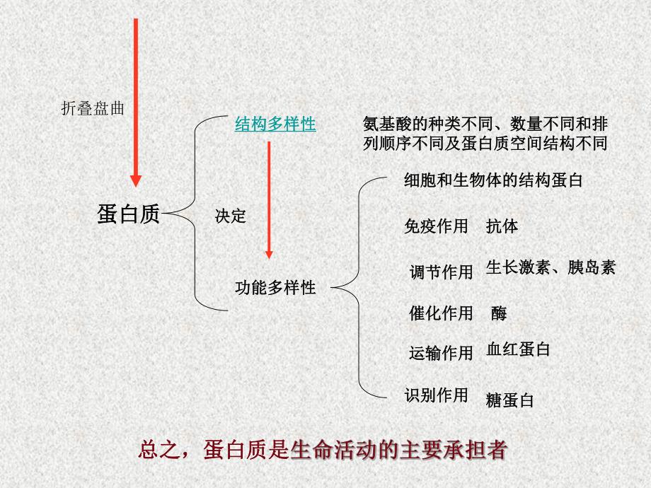 第3讲生命活动的主要承担者蛋白质名师编辑PPT课件.ppt_第3页