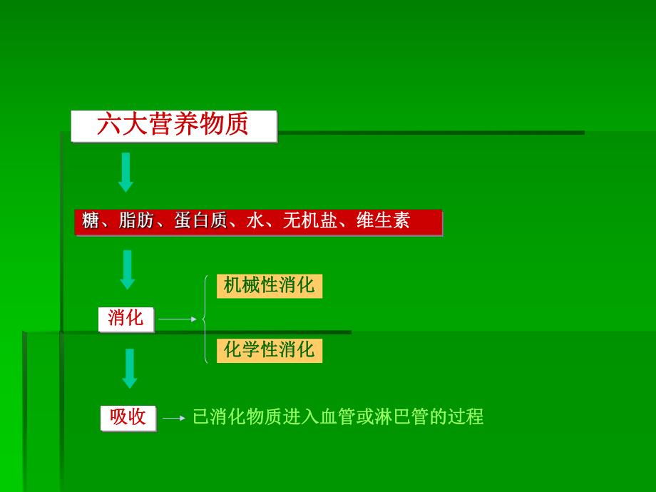 6.第六章消化与吸收.ppt_第3页