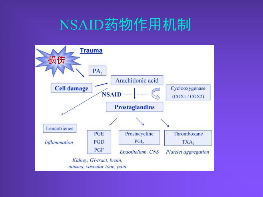 解热镇痛药.ppt_第3页