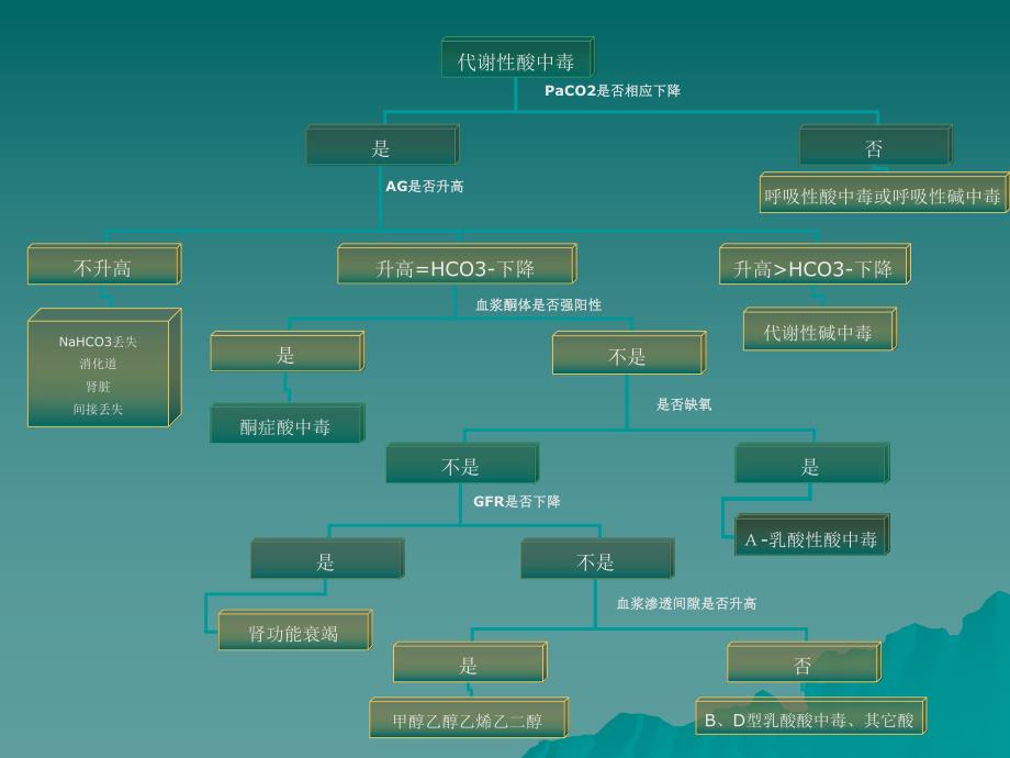 代谢性酸中毒的诊断程序和乳酸性.ppt_第3页