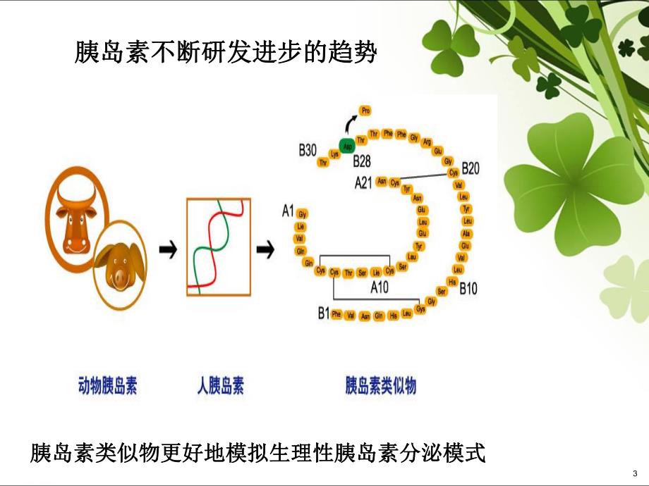 4月关于胰岛素使用部分问题.ppt_第3页