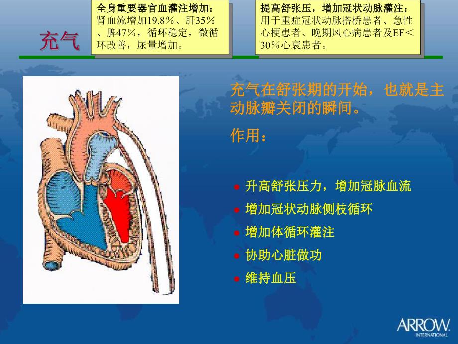 IABPAutocat 2.ppt_第3页