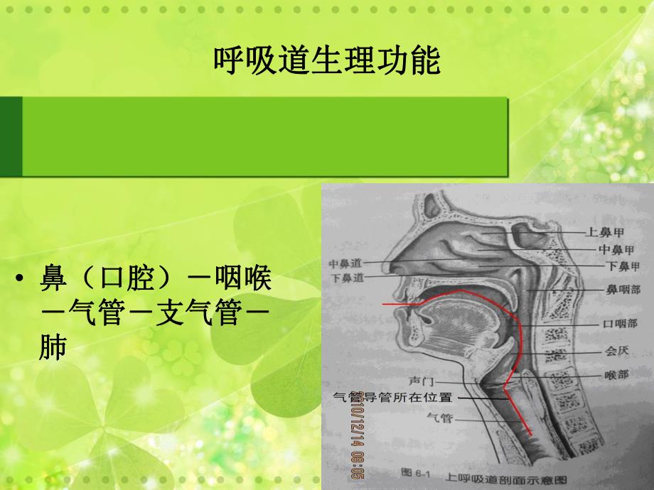 气管切开护理.ppt.ppt_第3页