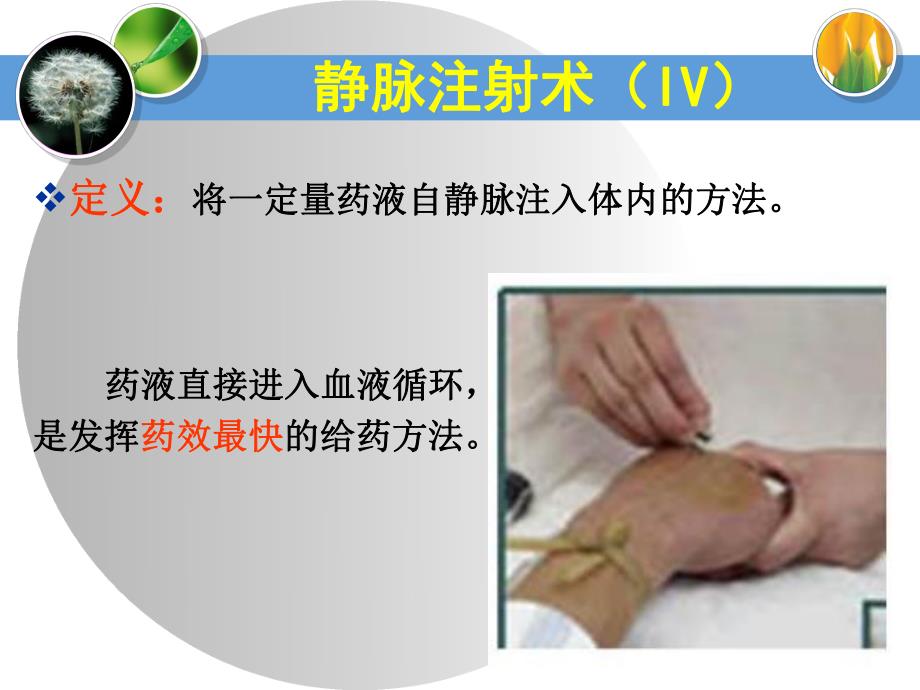 静脉注射法.ppt_第2页