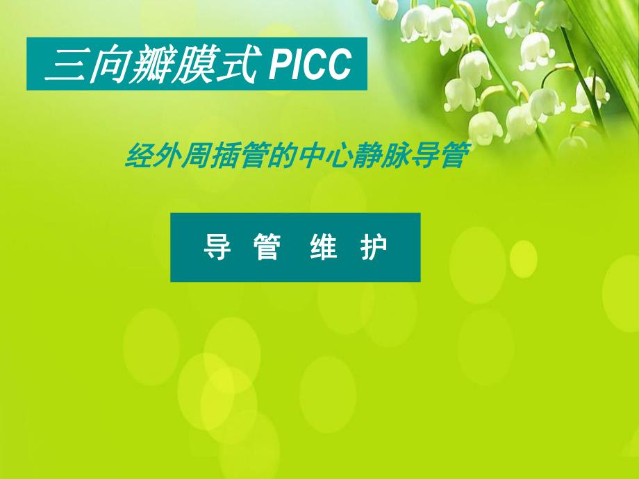 PICC导管维护经外周插管的中心静脉导管.ppt_第1页