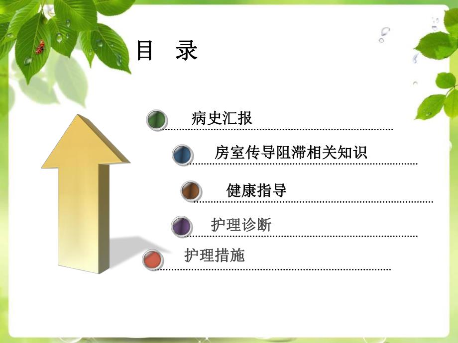 一例Ⅲ度房室传导阻滞病人的护理查房.ppt_第2页