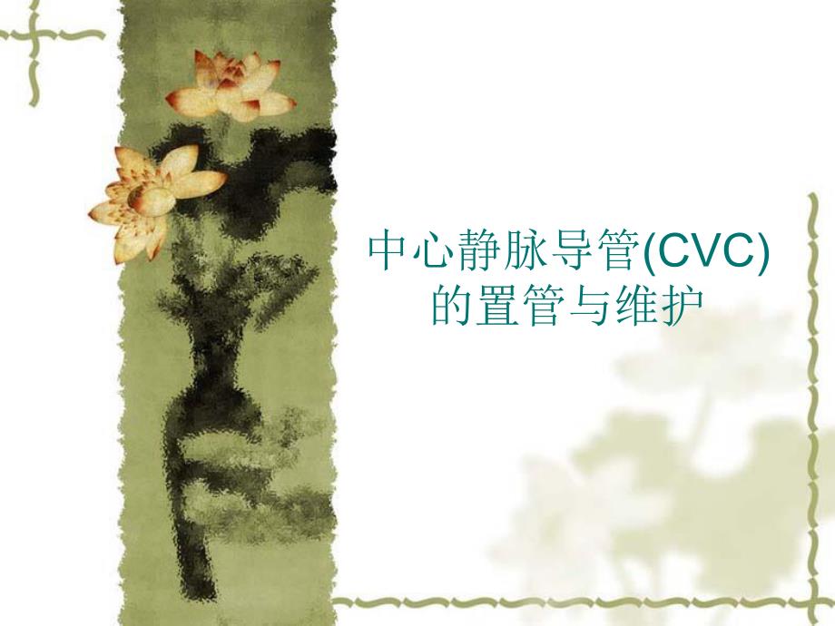 中心静脉导管(CVC)的置管与维护.ppt_第1页