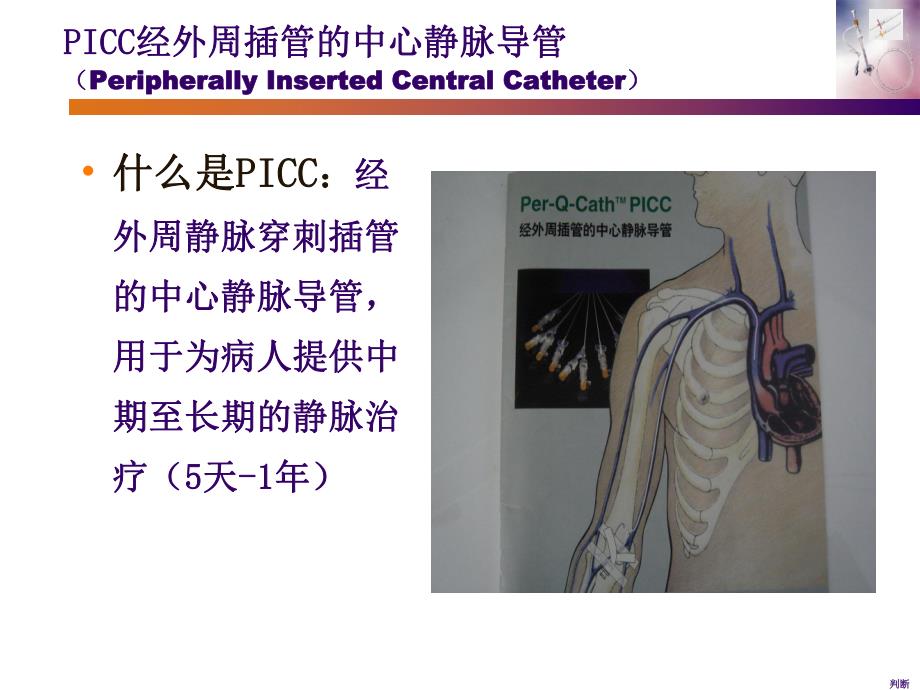 picc置管维护及并发症的处理.ppt_第2页