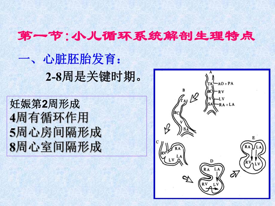 常见的几种先心病.ppt_第2页