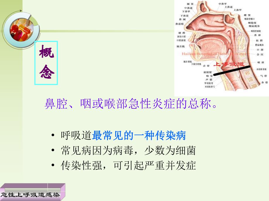 第二节急性上呼吸道感染及急性气管支气管炎病人的护理.ppt_第3页