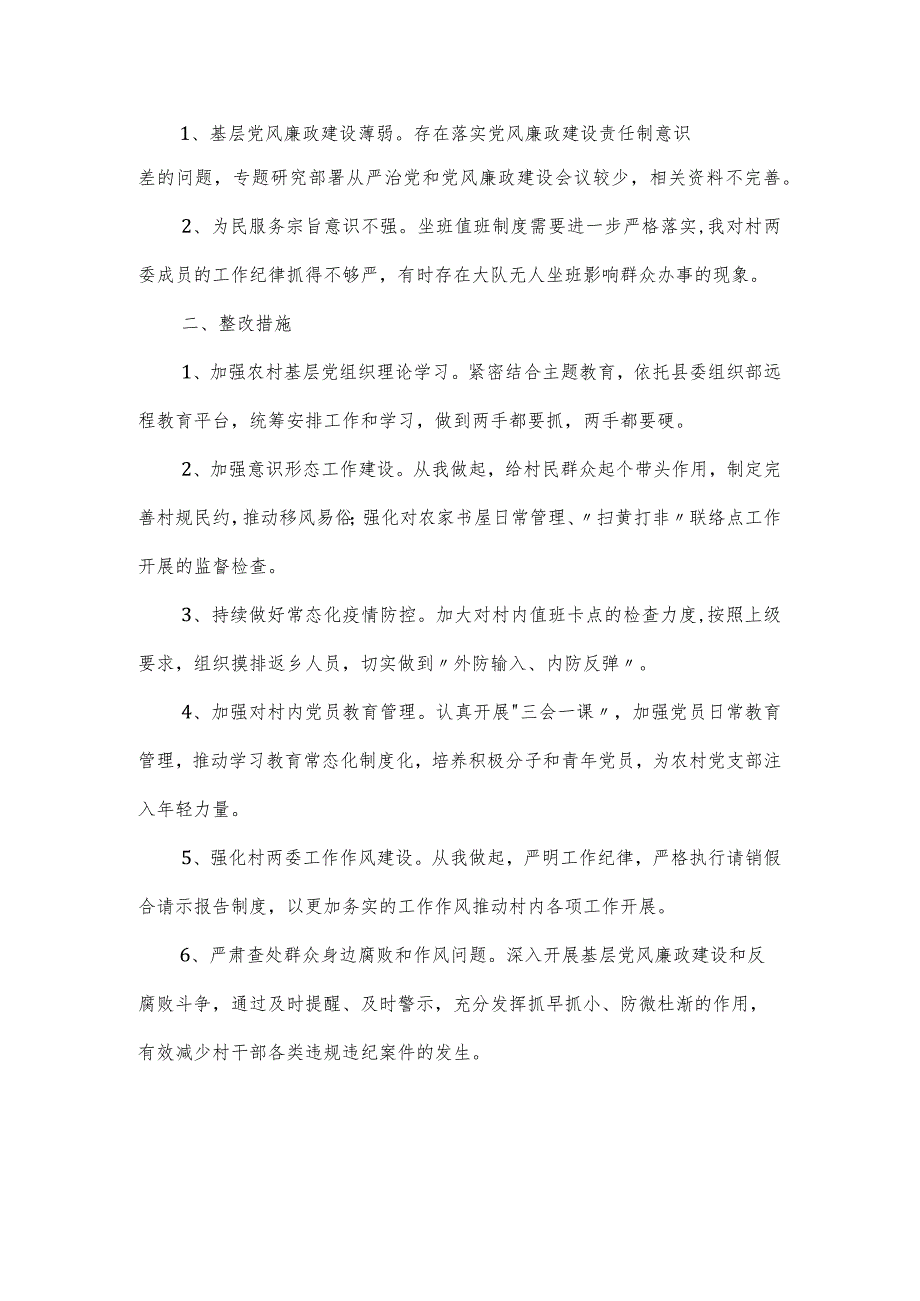 村巡视整改专题民主生活整改报告材料.docx_第2页