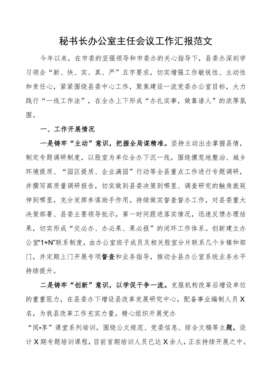 秘书长办公室主任会议工作汇报问题建议总结报告.docx_第1页