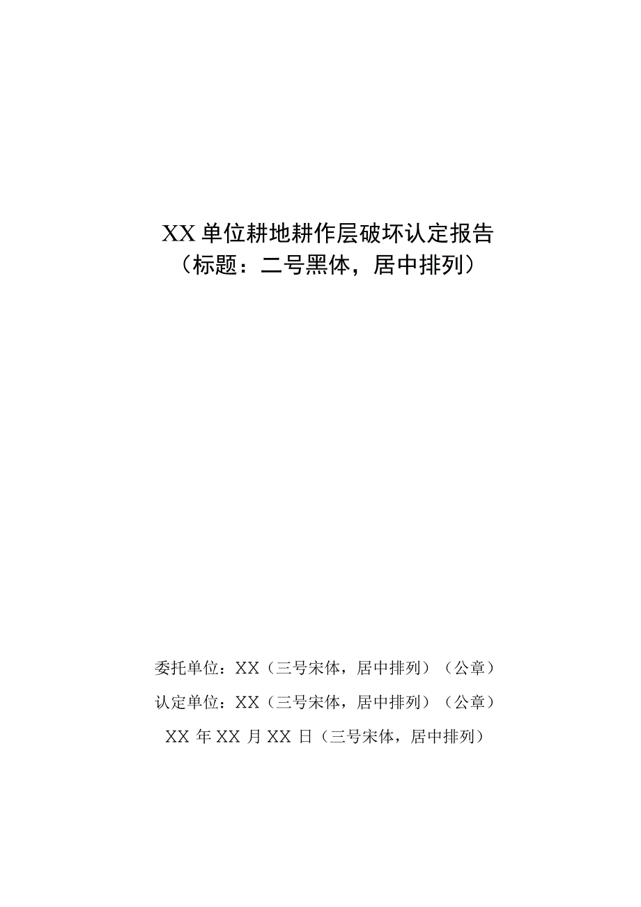 宁夏耕地耕作层破坏认定报告编排格式.docx_第3页