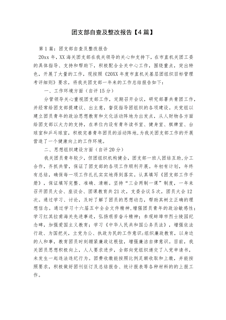 团支部自查及整改报告【4篇】.docx_第1页