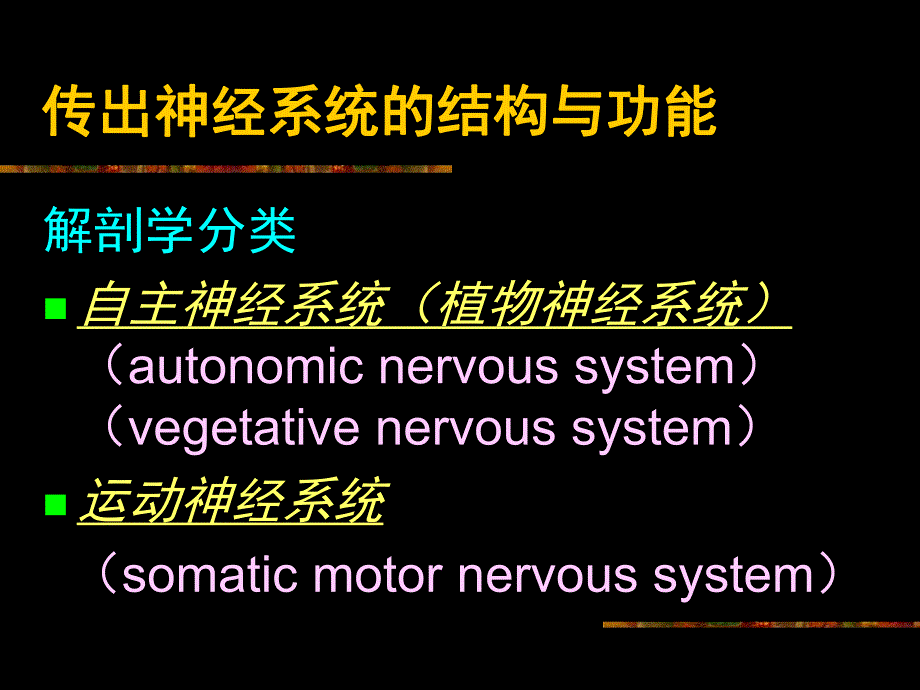 第5章传出概论.ppt_第3页