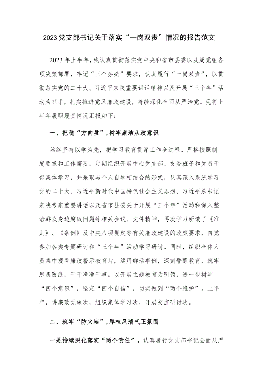 2023党支部书记关于落实“一岗双责”情况的报告范文.docx_第1页