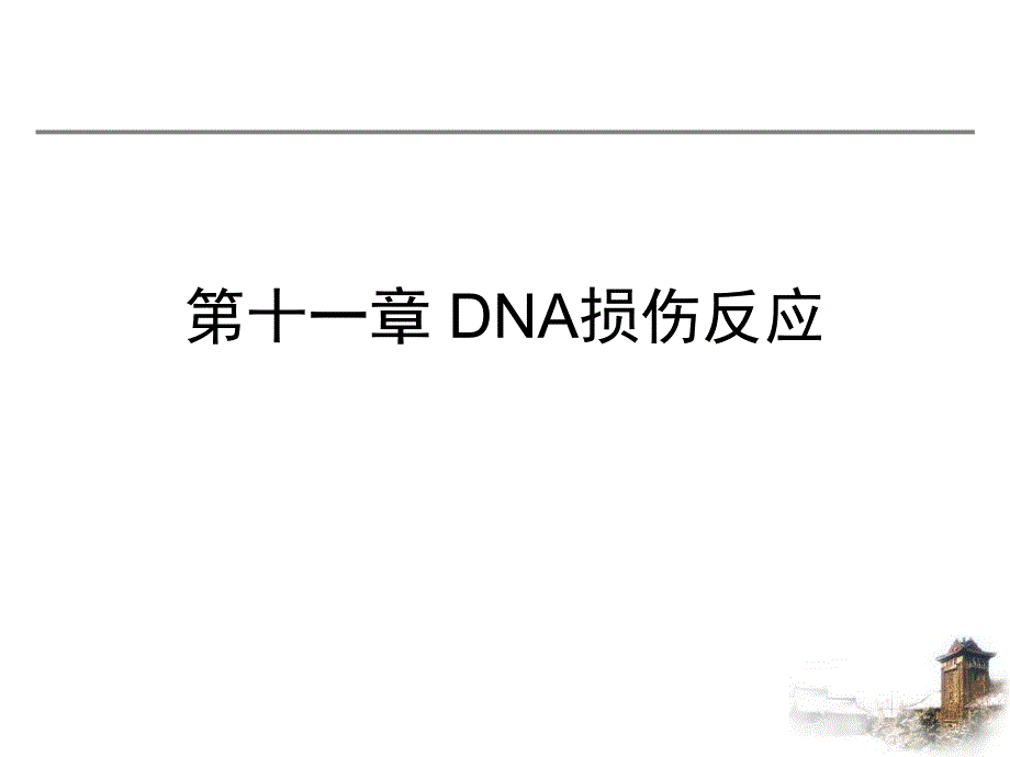 第4章：DNA损伤反应.ppt_第1页