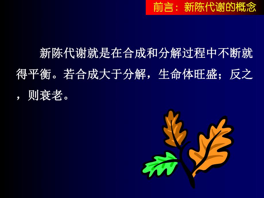 第5章：糖代谢1.ppt_第3页