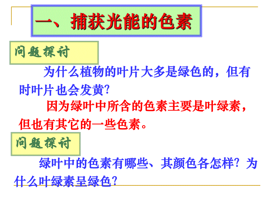 第4节能量之源光与光合作用.ppt_第3页