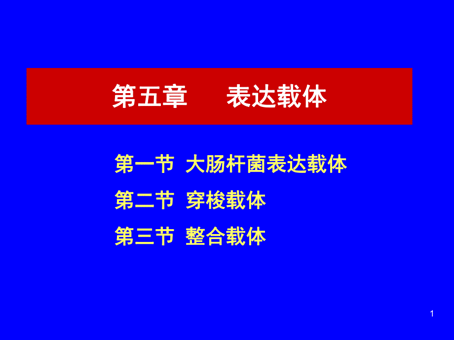 第5章表达载体.ppt_第1页