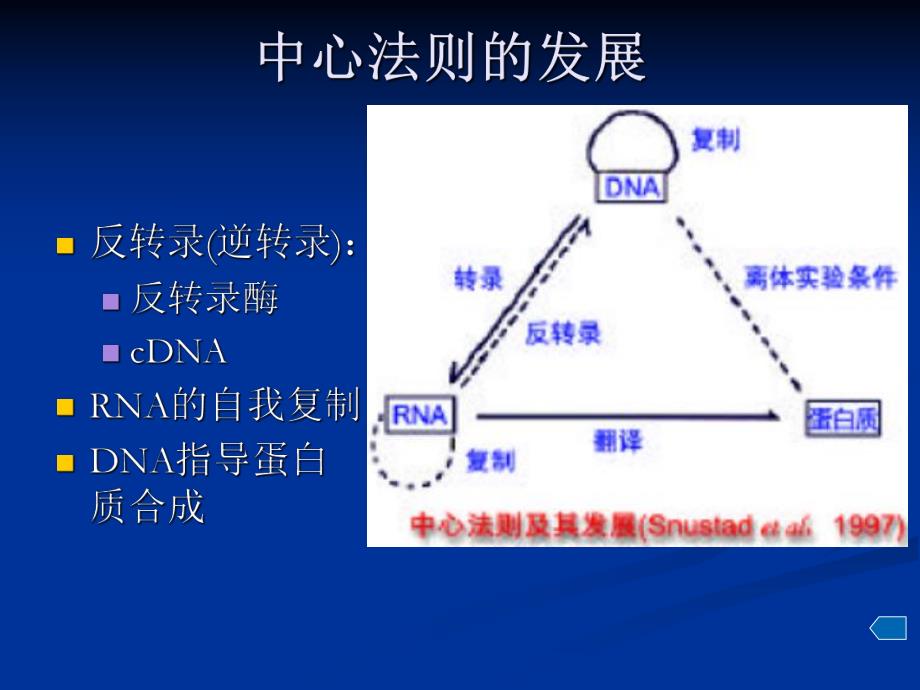 第5章分子水平上的基因功能中.ppt_第3页