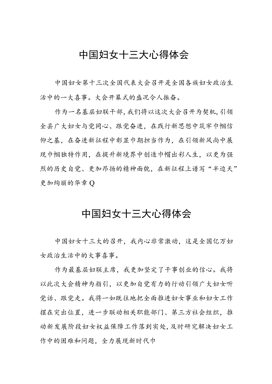 妇女干部学习中国妇女第十三次全国代表大会精神心得体会简短发言十七篇.docx_第1页