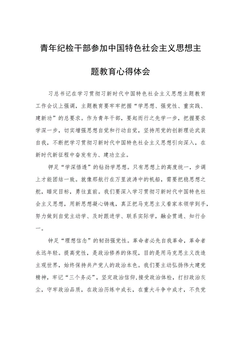 青年纪检干部参加中国特色社会主义思想主题教育心得体会心得体会.docx_第1页