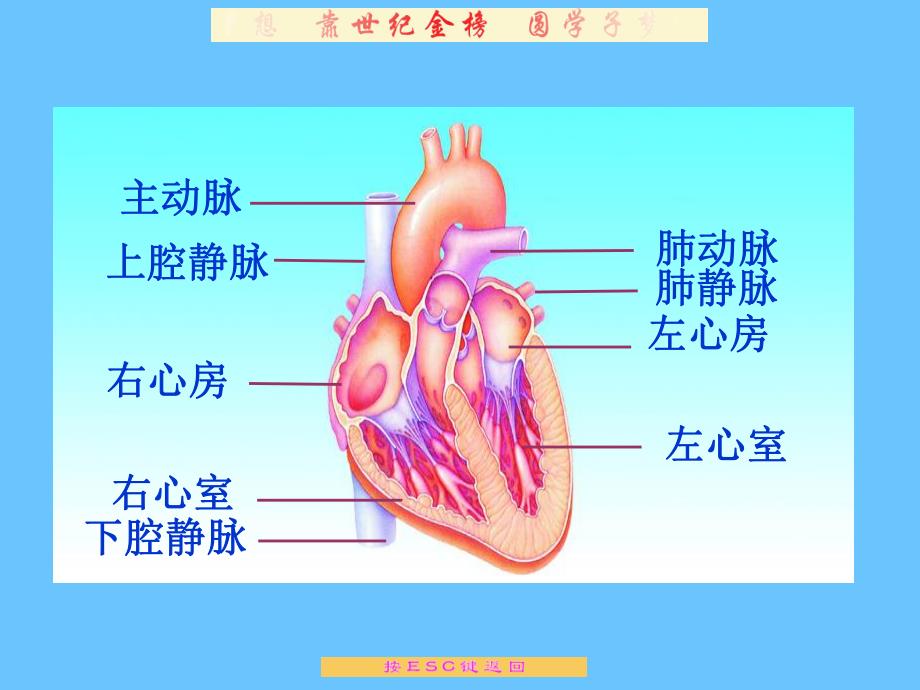 第4节当代主要疾病和预防.ppt_第3页