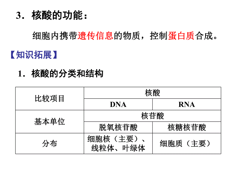 第4讲遗传物质的携带者核酸.ppt_第3页