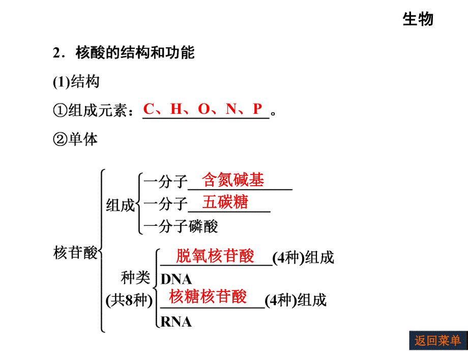 第4讲核酸、糖类和脂质.ppt_第3页